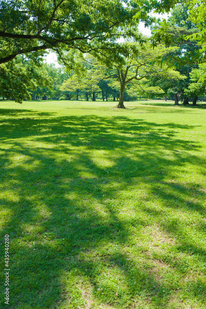 Obraz premium green garden