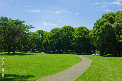 green park path