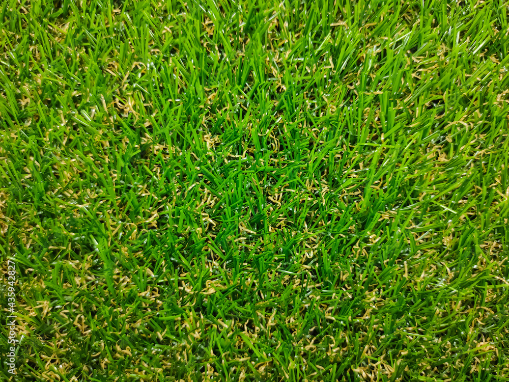 Fresh green grass background with copy and text space. Fresh green grass background with copy and text space.
