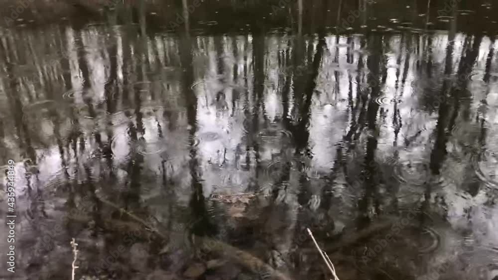 Rainfall reflection on a pond water, with its relaxing sound and peace and generated waves on the water surface. Rainfall reflection on a pond water, with its relaxing sound and peace and generated waves on the water surface.