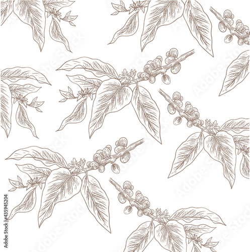 natural coffee with lines for background and design elements. Draw a coffee plant pattern for a fabric print. coffee posters, coffee packaging designs.