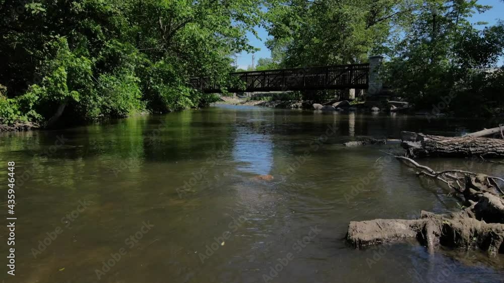 water, river, foot bridge, forest, nature, tree, landscape, trees, green, reflection, summer, pond, park, sky, stream, spring, wood, grass, beauty, garden, blue, tranquil water, river, foot bridge, forest, nature, tree, landscape, trees, green, reflection, summer, pond, park, sky, stream, spring, wood, grass, beauty, garden, blue, tranquil