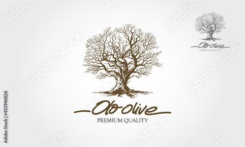 Old Olive Tree Vector Logo Template. This logo depicts a tree whose roots and branches are connected to form one unit. This concept can be used for recycling, environmental associations, landscape. 