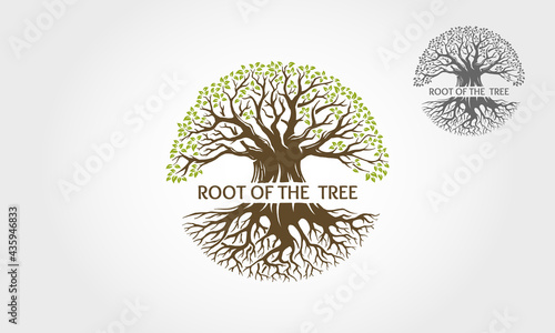 Root Of The Tree Vector Logo Template. This logo depicts a tree whose roots and branches are connected to form one unit. This concept can be used for recycling, environmental associations, landscape. 