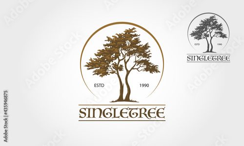 Single Tree Vector Logo Template. This logo depicts two trees whose roots and branches are connected to form one unit. This concept can be used for recycling, environmental associations, landscape.