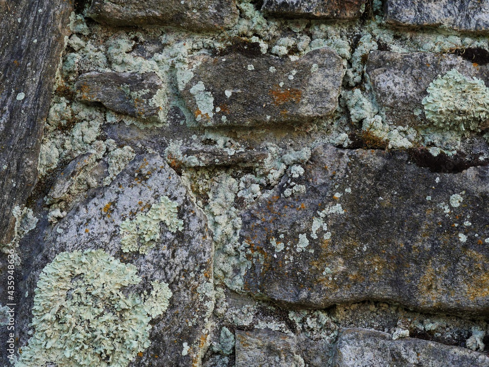 mossy rock wall