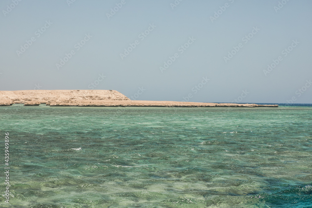 Fototapeta premium Coral reef in blue water of Red Sea