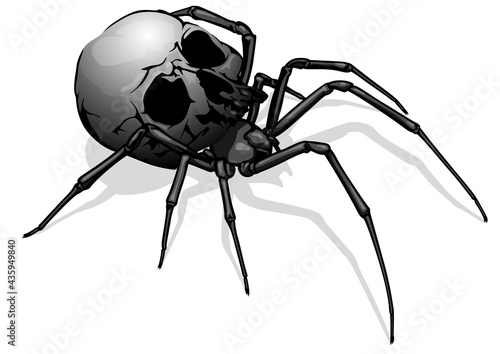 Painted Spider Skull - Scary Drawing as Part of a Halloween Design or Horror Composition Illustration, Vector Graphic