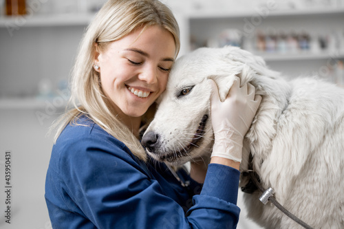 Fototapet Happy female veterinarian hugs the patient big white dog standing at examination table after inspection