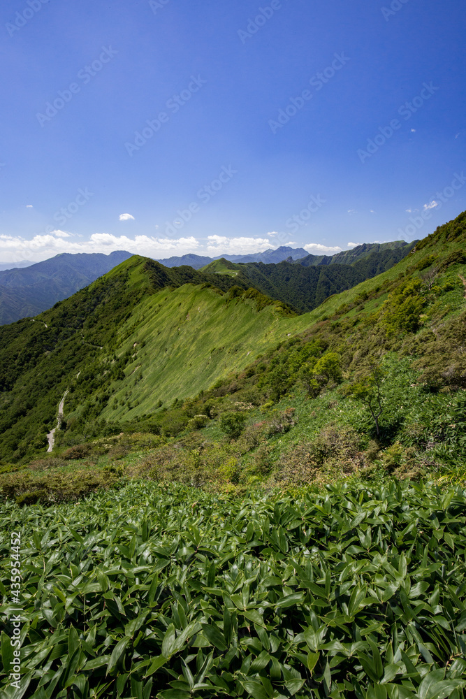 伊予富士付近の登山道