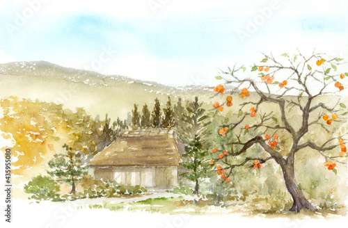 柿の木と茅葺屋根の家の風景