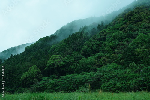 山の蒸気