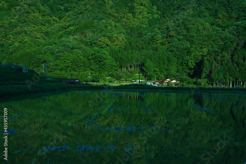 水鏡の田んぼ