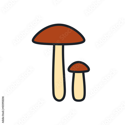 Birch bolete icon. Vector isolated linear color icon contour shape outline. Thin line. Modern glyph design. Mushrooms. Food ingredients.