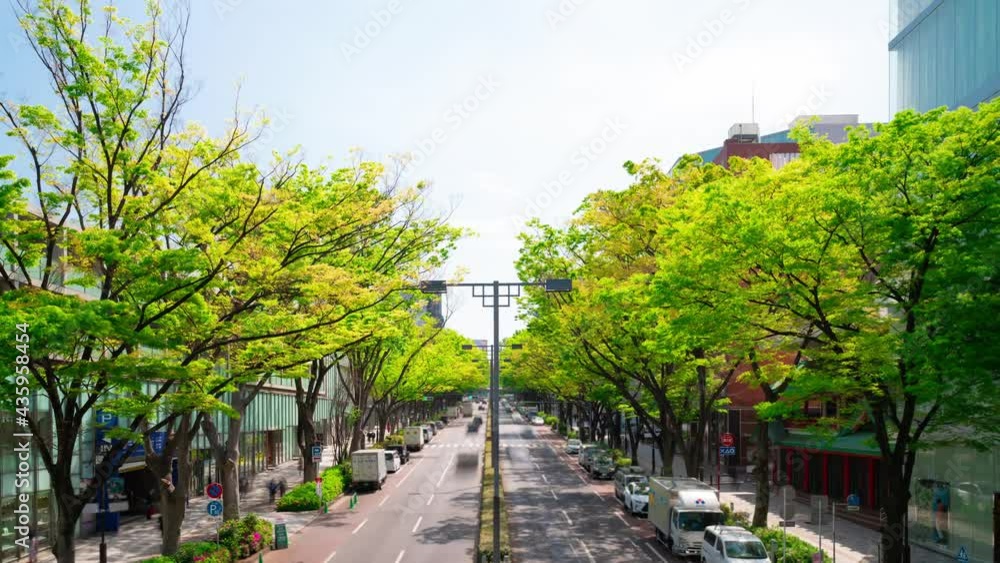 東京 原宿 表参道 タイムラプス 2021年 春 東京 原宿 表参道 タイムラプス 2021年 春