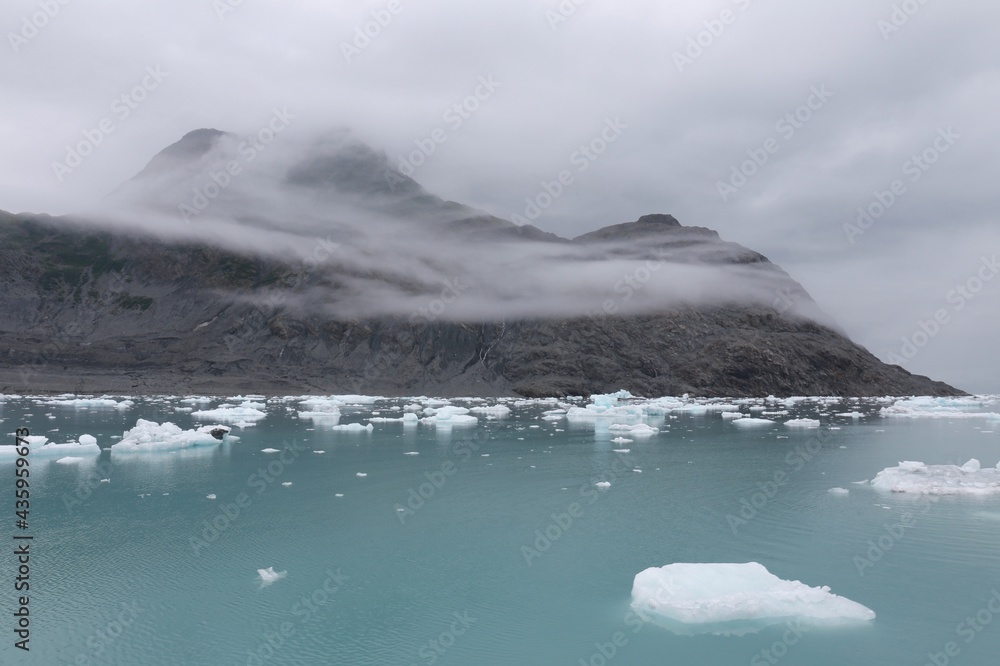 Melting Icebergs at sea in a foggy morning, Columbia Glacier, Alaska