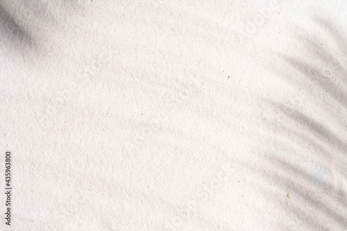 Sand beach with tree shadows, summer background