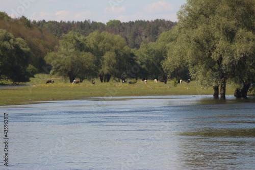 Mezinsky National Nature Park, Ukraine