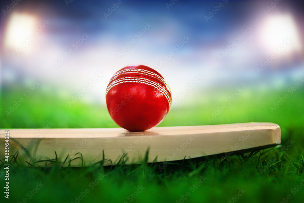 cricket leather ball resting on bat on the stadium pitch bright stadium