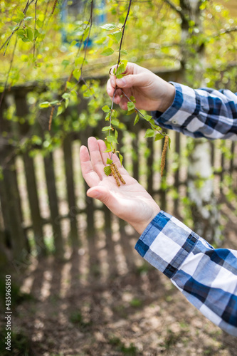 man holding birch buds in his hand