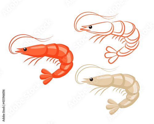 Prawn or shrimp set, seafood and marine cuisine vector icon