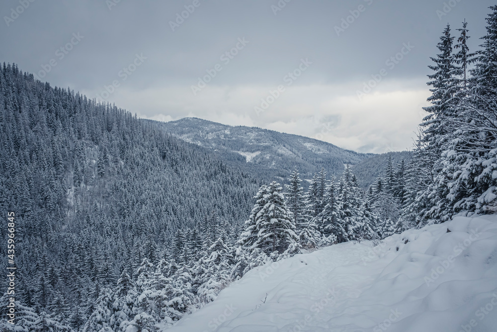 Mountainscape view in winter, Tatra Mountains, Poland. Steep slopes, snow on a trail, tall coniferous trees. Selective focus on the horizon, blurred background.