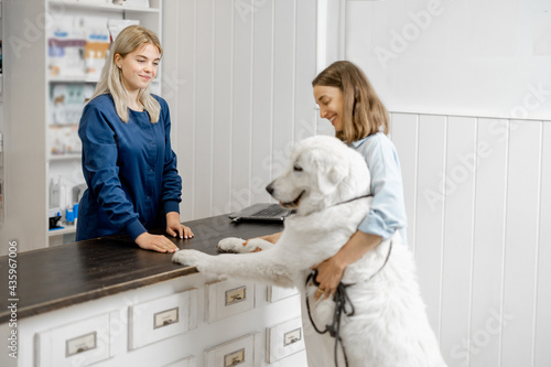 Female owner with big white dog on reception in veterinary clinic and talking with assistant. Dog climbed paws on the table. Pet care and treatment photo