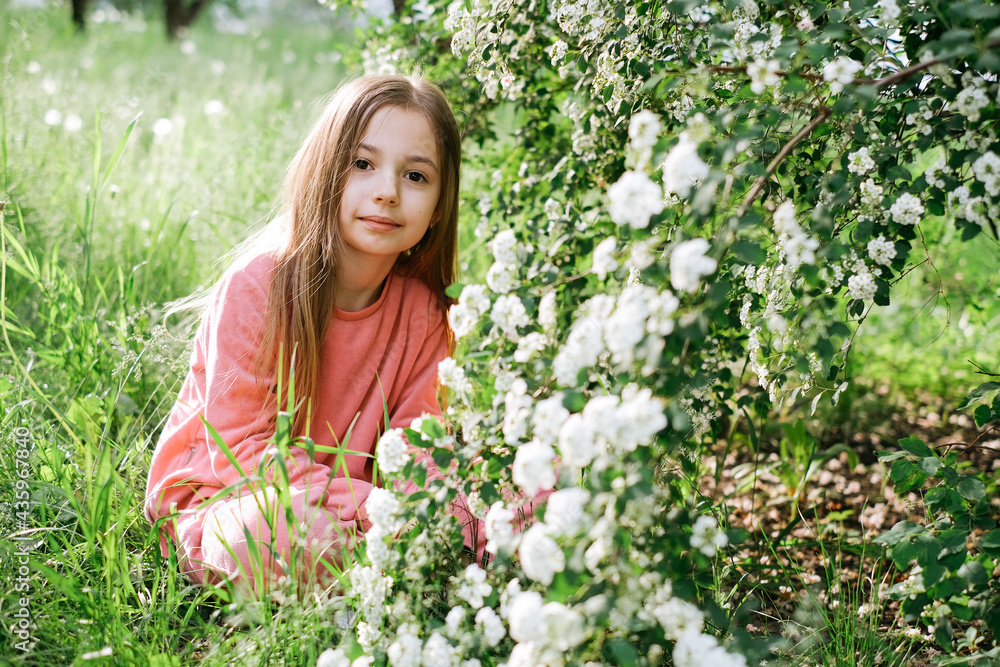 little kind girl in a pink velor suit in the spring in the park near a flowering bush with white flowers little kind girl in a pink velor suit in the spring in the park near a flowering bush with white flowers