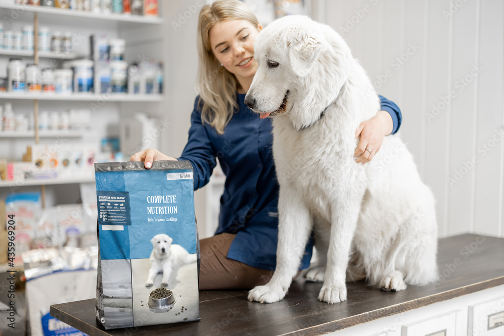 Cheerful female veterinarian and big sheepdog sitting on reception of veterinary store and clinic with packaging of dog dry food and nutrition. Pet care and treatment. . Cheerful female veterinarian and big sheepdog sitting on reception of veterinary store and clinic with packaging of dog dry food and nutrition. Pet care and treatment. .