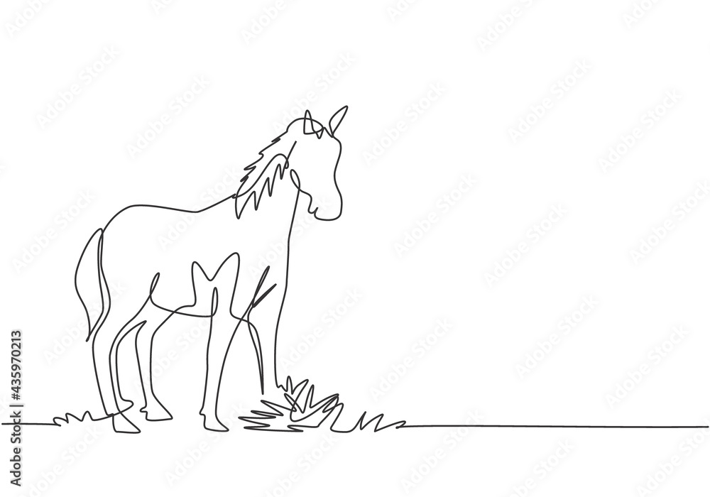 Single one line drawing of a horse standing firmly on the pasture. Successful livestock business run by professional farmers. Minimalism concept. One line draw design graphic vector illustration. Single one line drawing of a horse standing firmly on the pasture. Successful livestock business run by professional farmers. Minimalism concept. One line draw design graphic vector illustration.