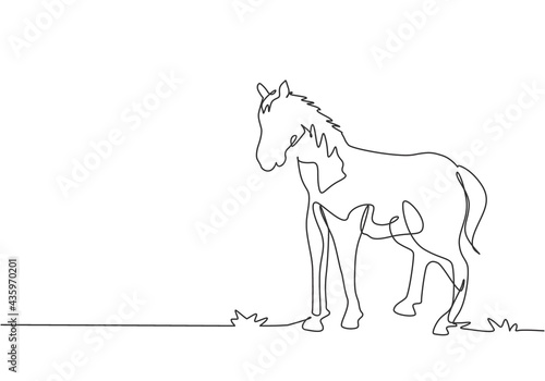 Continuous one line drawing a horse standing firmly on the pasture. Successful livestock business run by professional farmers. Minimalism concept. Single line draw design vector graphic illustration.