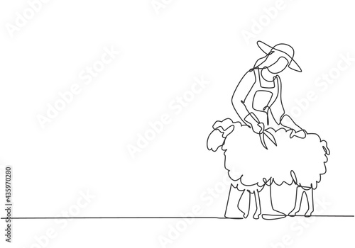 Single one line drawing of young female farmer was carefully shearing the fleece using scissors. Farming challenge minimal concept. Modern continuous line draw design graphic vector illustration.