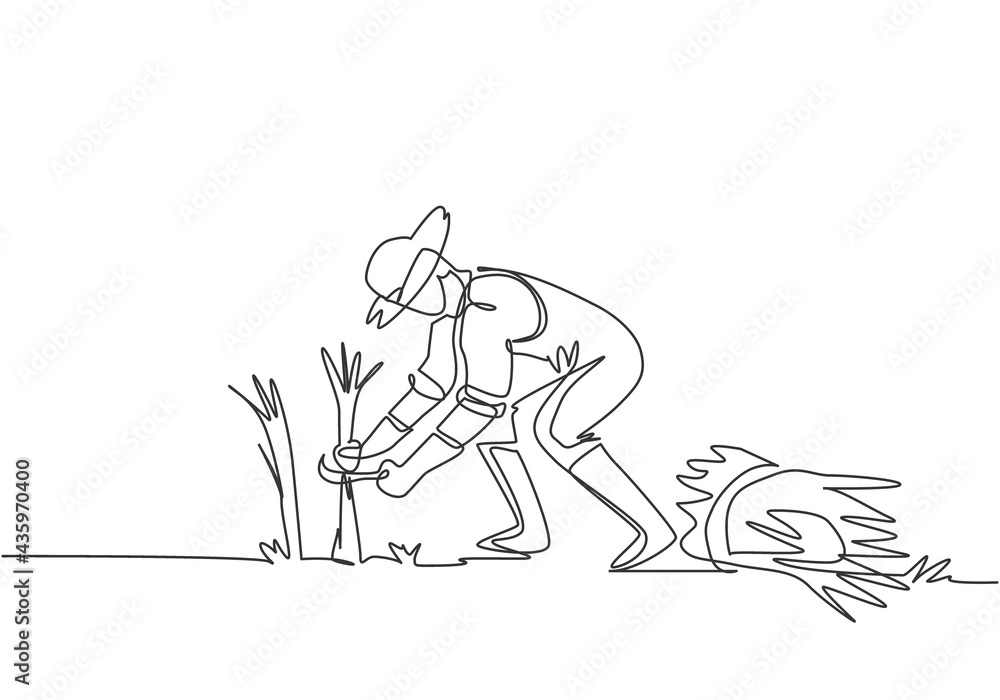 Fototapeta premium Single one line drawing of young male farmer was harvesting rice and there was also rice that had been tied up. Farming challenge minimal concept. One line draw design graphic vector illustration.