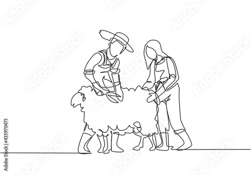 Single continuous line drawing couple farmer was cutting fleece to make a sweater. Done professionally for satisfactory results. Minimalism concept. One line draw graphic design vector illustration.