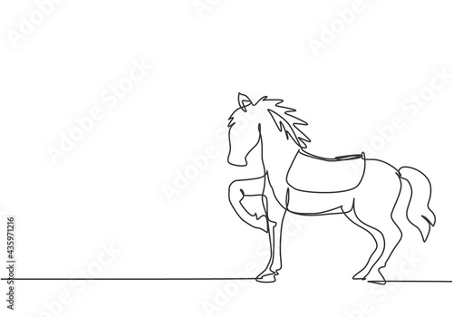 Continuous one line drawing a circus horse stands on the show arena, lifting one of its legs while preparing to perform an attraction. Trained horse. One line draw design vector graphic illustration.