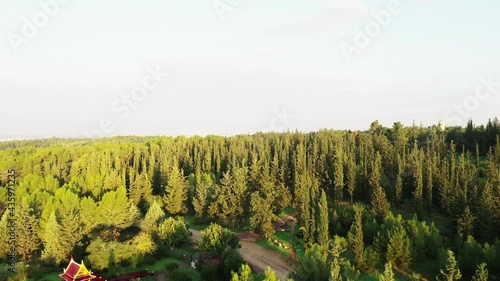 Aerial Ascending Shot Of Green Trees On Land Against Clear Sky, Drone Flying Over Thai Pagoda On Sunny Day - Ben Shemen, Israel photo