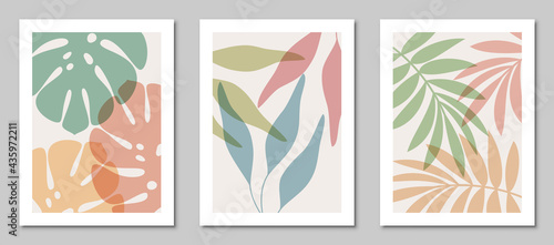 Set of abstract art nature backgrounds. Modern  shape line art,  foliage, botanical, tropical leaves floral design for cover, wallpaper,  home decoration, wall art.