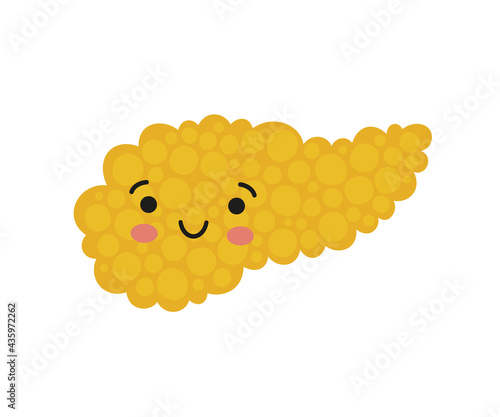 Pancreas kawaii healthy character with smile. Drawing of a healthy pancreas. Isolated vector illustration on white background.