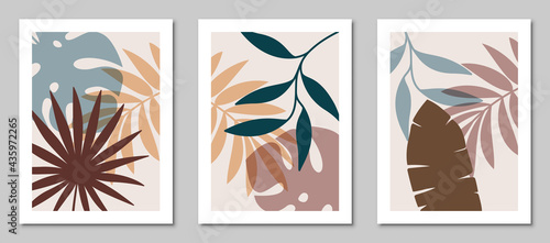 Set of abstract art nature backgrounds. Modern shape line art, foliage, botanical, tropical leaves floral design for cover, wallpaper, home decoration, wall art.