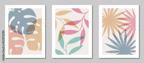 Set of abstract art nature backgrounds. Modern shape line art, foliage, botanical, tropical leaves floral design for cover, wallpaper, home decoration, wall art.