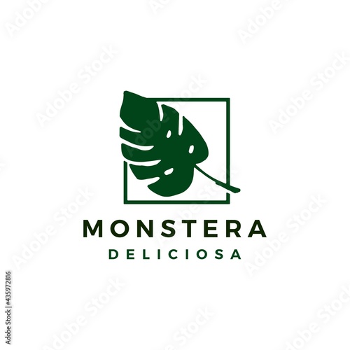 monstera deliciosa logo vector icon illustration