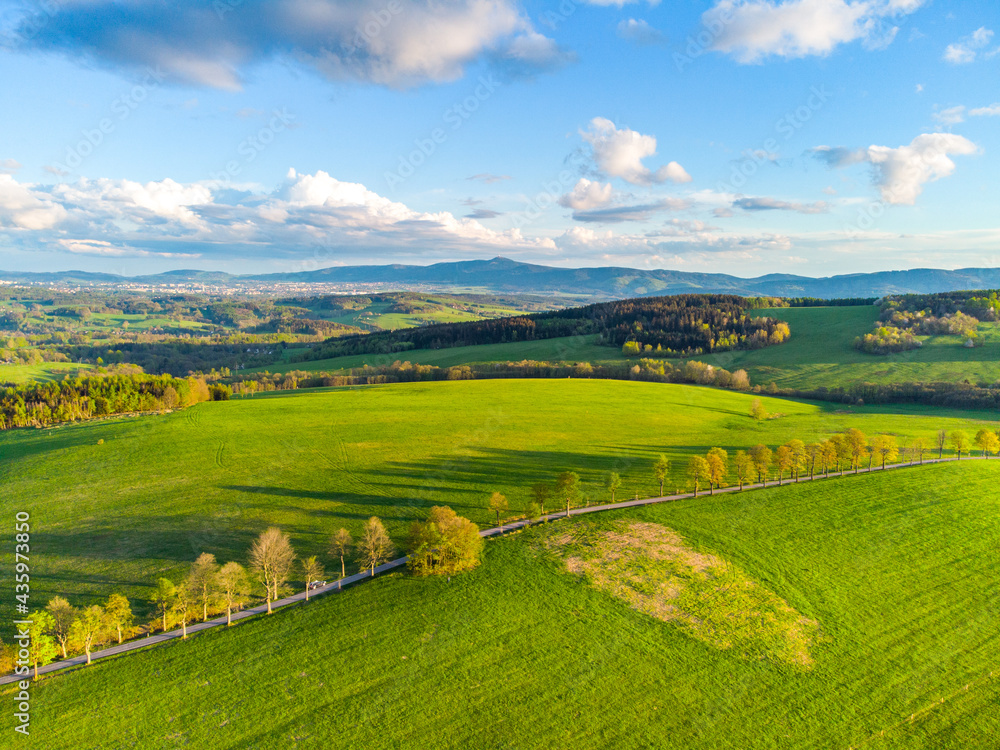 Lush green spring hilly landscape with rural fields and road with alley of trees. Aerial view from drone.