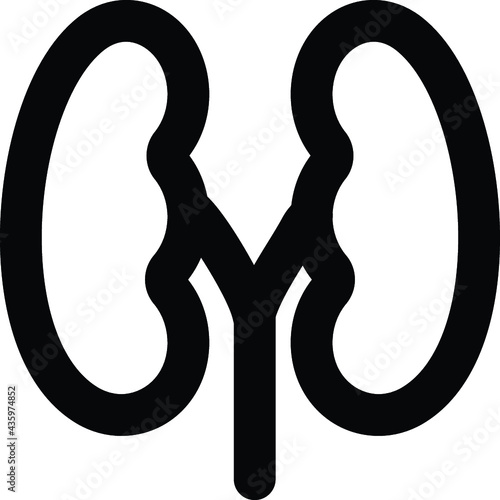 Kidneys