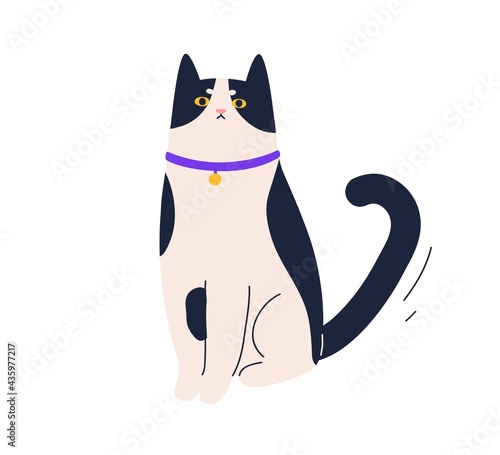 Cute angry cat sitting with frowning face expression. Portrait of funny unimpressed kitty. Adorable dissatisfied kitten. Colored flat vector illustration of sweet pet isolated on white background