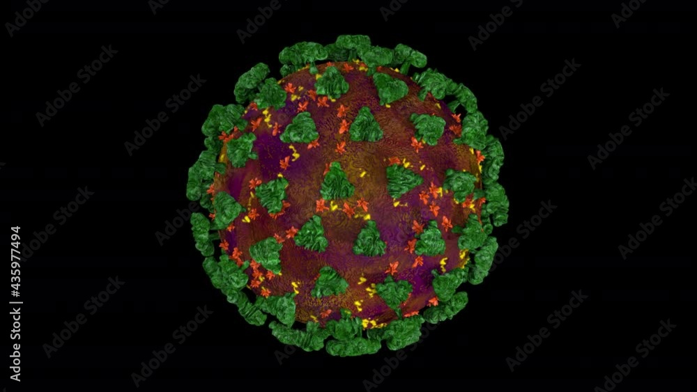 Coronavirus or covid-19 in microscopic view of floating influenza virus cells as dangerous flu strain cases as a pandemic medical health risk isolated on black background. 3D rendering. Coronavirus or covid-19 in microscopic view of floating influenza virus cells as dangerous flu strain cases as a pandemic medical health risk isolated on black background. 3D rendering.