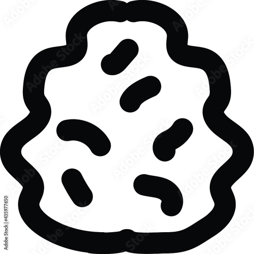 Bacteria