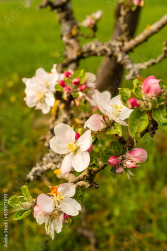 Paysage campagne 879