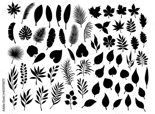 collection set of different silhouettes of tropical, forest, park tree leaves branches twigs plants foliage herbs in black color
