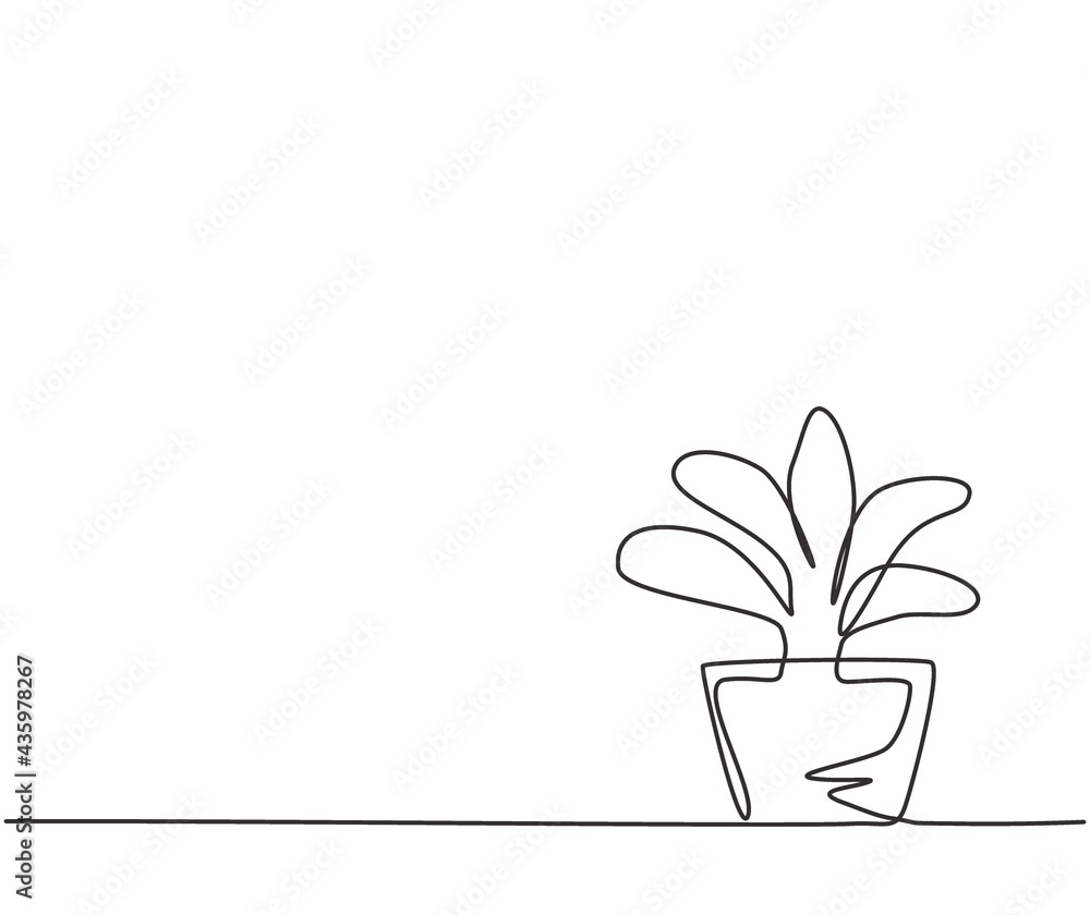 Single one line drawing of potted plants with five growing leaves are used for ornamental plants. Beautiful decorate the interior of the house. Continuous line draw design graphic vector illustration. Single one line drawing of potted plants with five growing leaves are used for ornamental plants. Beautiful decorate the interior of the house. Continuous line draw design graphic vector illustration.