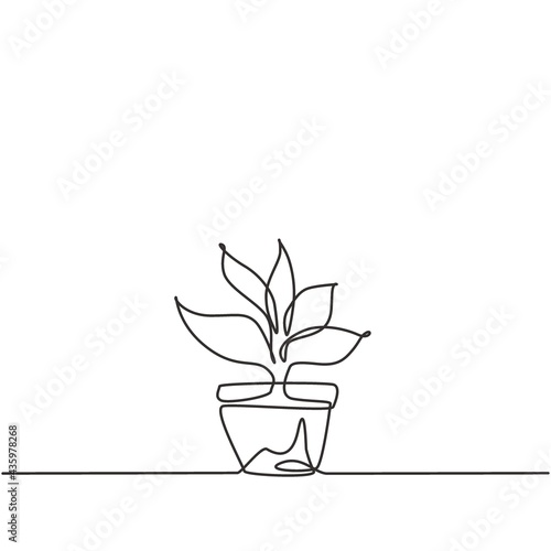 Continuous one line drawing potted plants with five growing leaves are used for ornamental plants. Ornamental plants to beautify the living room. Single line draw design vector graphic illustration.